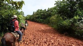 Canal de Panamá adjudica construcción de carreteras