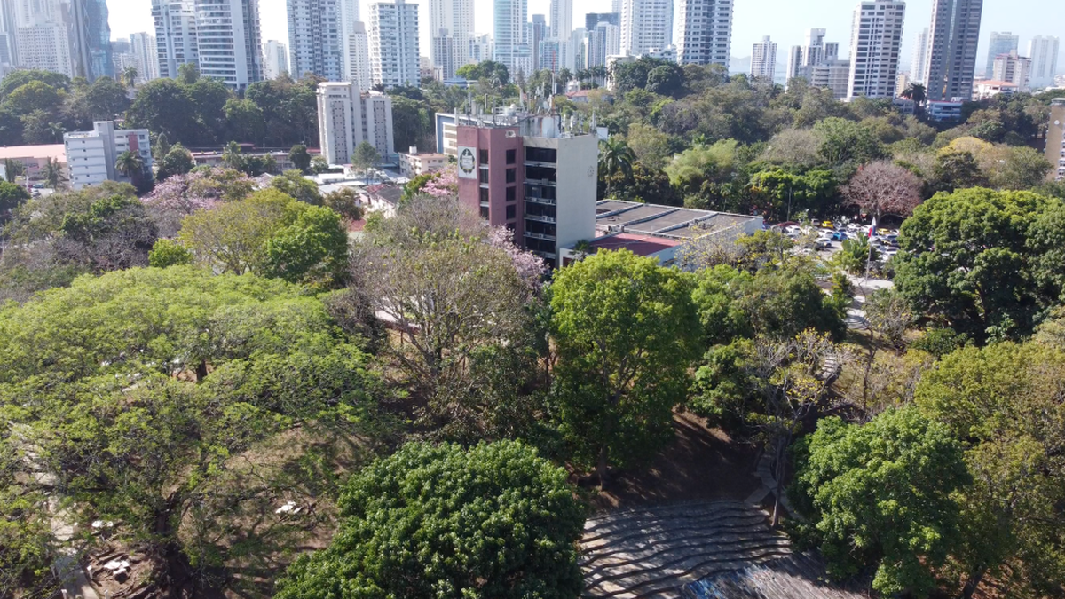 Universidad de Panamá inicia próximamente su primer semestre.