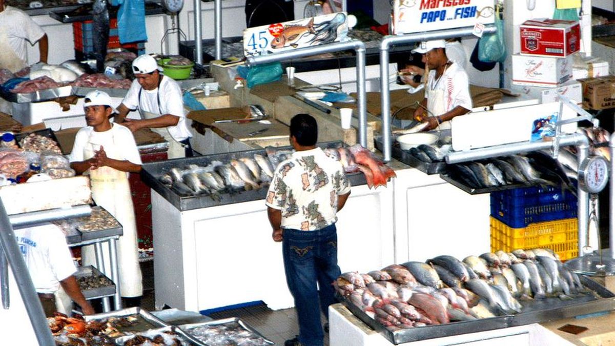 Mercado de Mariscos cerrado el lunes 12 y martes 13 por mantenimiento