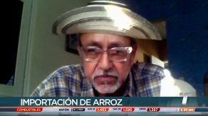 Productores se pronuncian sobre empresas importadoras