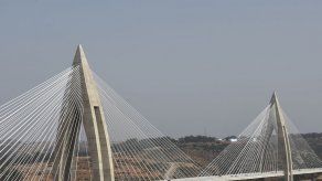 MIDA y MINSA en alerta por encefalitis
