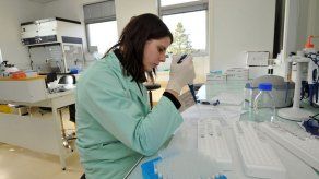 ¿Existe un gen de izquierdas o derechas?