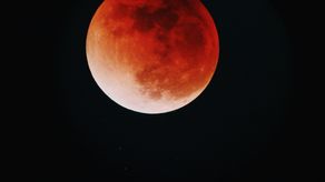 Este será el primer eclipse del año 2026.&nbsp;