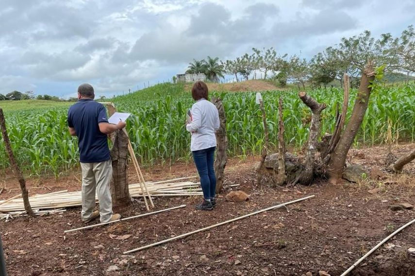 Personal de la sección de Epidemiología y control de vectores de la región de Salud de Herrera realizó una inspección en los alrededores de la vivienda de la paciente.