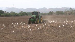 Caso Riegos de Tonosí tiene más de un año paralizado por recurso sin resolver