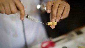 Suben a 6 los muertos por dengue en 2013