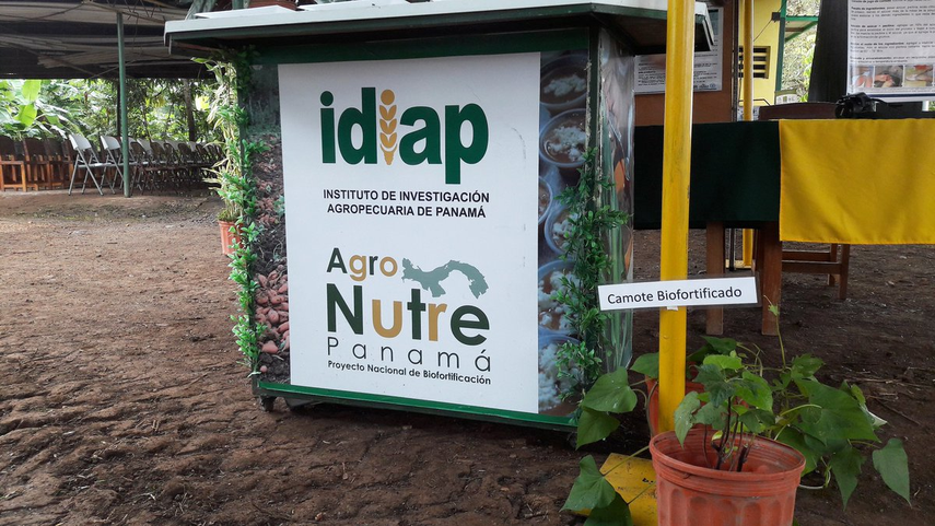 Alexandra Rodríguez es nominada por José Raúl Mulino como directora del IDIAP.&nbsp;