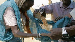 FAO exige una mejor distribución de producción alimentaria contra el hambre