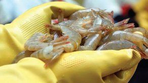 China detecta el coronavirus en paquetes de camarones ecuatorianos
