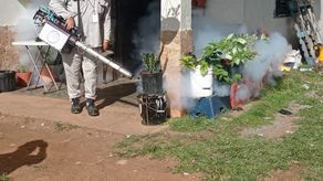 Personal del Minsa realiza operativos contra el dengue.