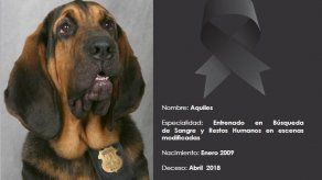 Muere el perro que marcó una época en la investigación forense en Costa Rica
