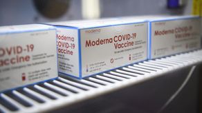 Cajas que contienen viales de la vacuna de Moderna contra Covid-19.