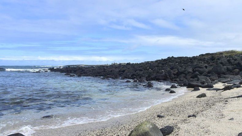 ¡Cuidado con los souvenirs!: los particulares recuerdos que se incautan en Galápagos