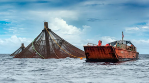 Acuicultura se realizará del 18 al 21 de abril en Panamá