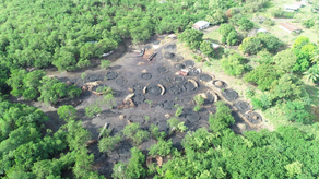 MiAmbiente alerta sobre la grave devastación MiAmbiente alerta sobre la grave devastación