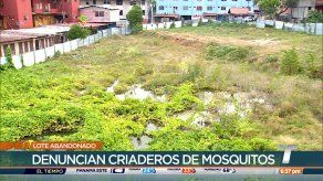 Denuncian que lote abandonado en San Miguel se ha convertido en criadero de alimañas