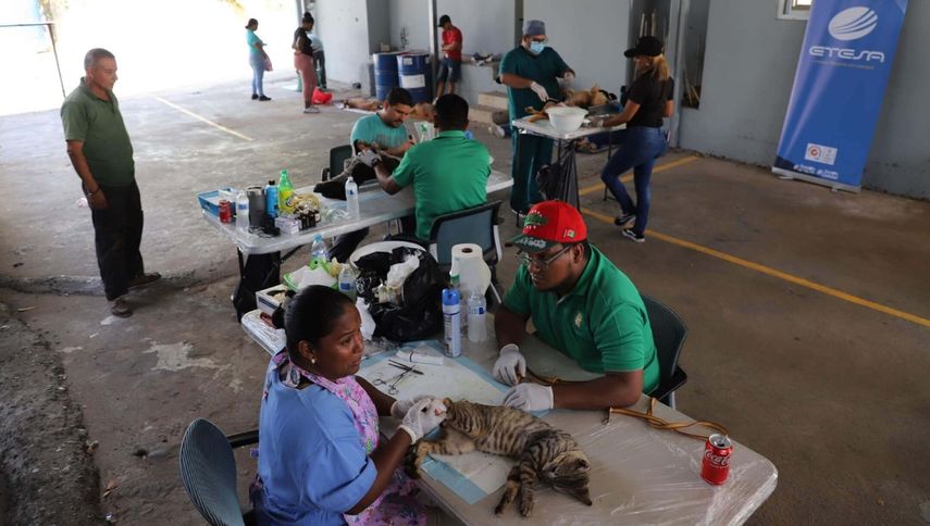 Alcaldía de Panamá&nbsp;