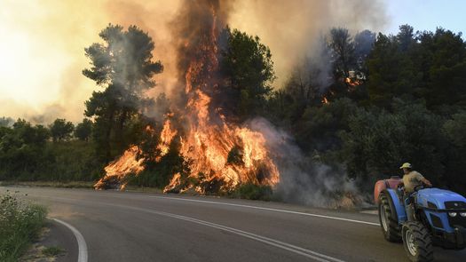 Al menos otros seis grandes incendios forestales ardían el domingo en todo el país.