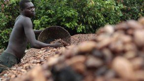 Jóvenes emprenden en el mayor productor de cacao del mundo