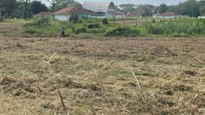 MIDA prepara terrenos de la Feria Nacional de Colón MIDA prepara terrenos de la Feria Nacional de Colón