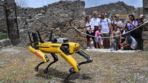 Al inspeccionar el terreno, Spot puede captar información y alertar al personal sobre problemas de seguridad o de estructura.