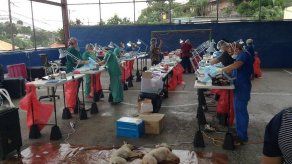 Realizarán maratón de esterilización este 20 y 21 de agosto en Guna Nega