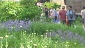 NY da masiva bienvenida a ampliación de su jardín en el cielo
