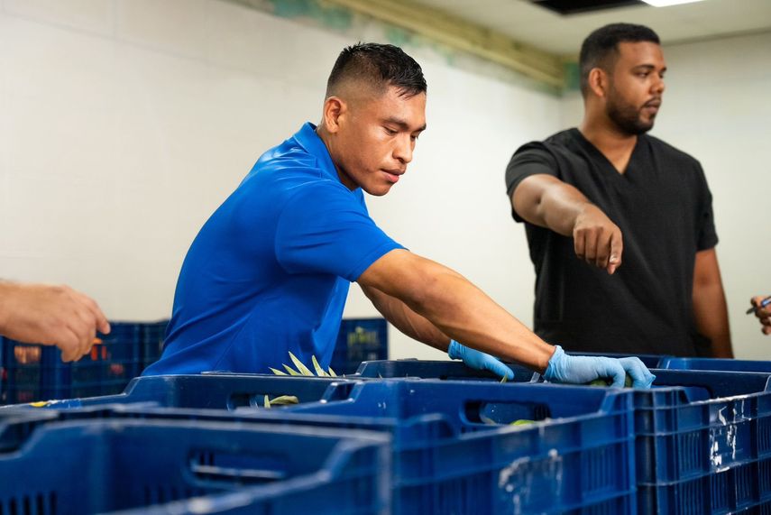 Meduca inicia entrega del Almuerzo Escolar Saludable