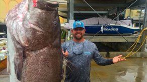 Un mero de casi 160 Kg capturado en Florida tenía 50 años