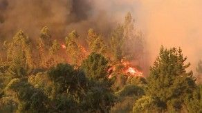 Gigantesco incendio en Chile deja 19 heridos y daña 100 casas