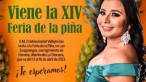 Feria de la Piña