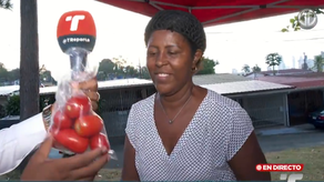 Jermaine Cumberbatch presenta feria del IMA en Río Abajo