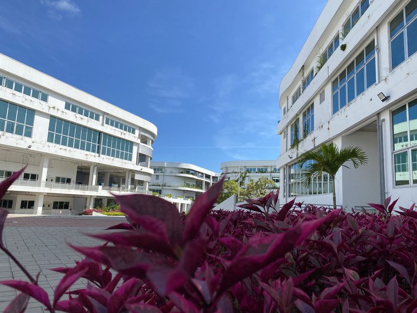 ¡Importante! ITSE anuncia Convocatorias Públicas de Fondos