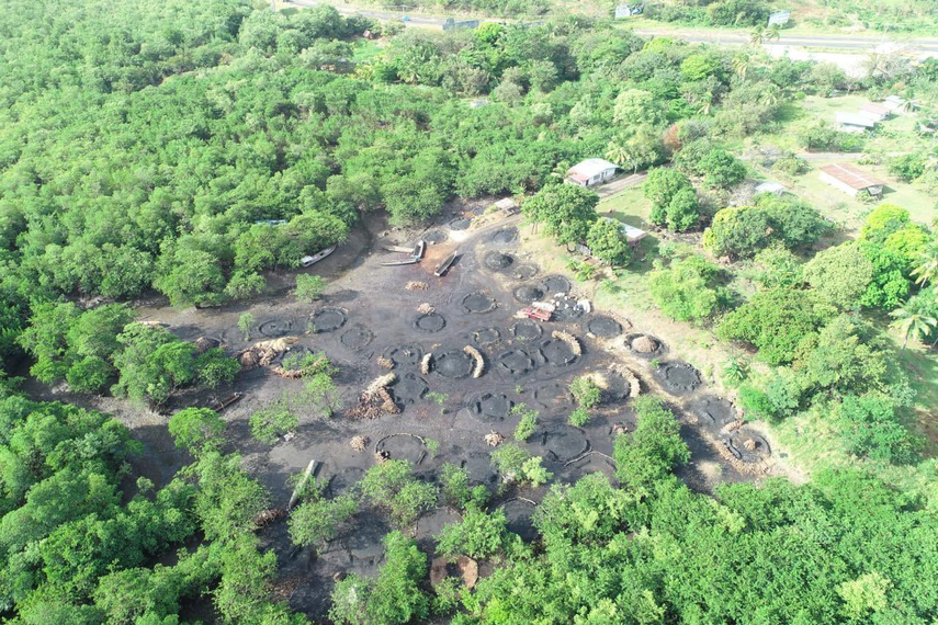 MiAmbiente alerta sobre la grave devastación