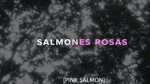 Película Salmones Rosas
