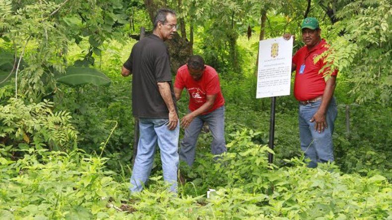 20 sanciones impuso el Municipio durante operativo en lotes baldíos