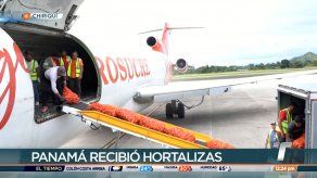 Trasladan hortalizas de Chiriquí a la ciudad de Panamá por vía aérea