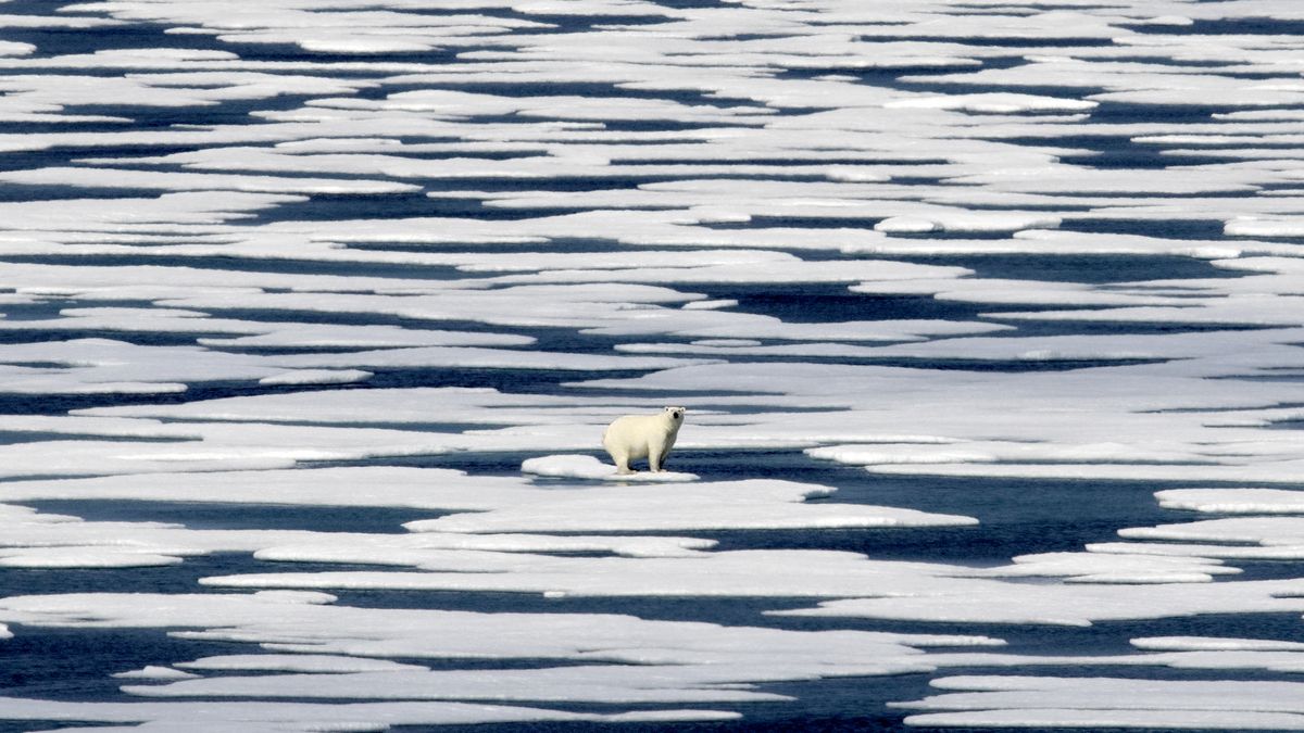 El Ártico ha sido un foco de actividad en años recientes a la medida en que el calentamiento de los océanos ha reducido la capa de hielo.