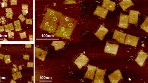Expertos logran programar nanorobots para buscar y destruir tumores