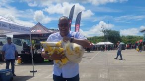 Merca Panamá realizará Merca Feria