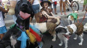 Cientos de perros acuden a su propio carnaval en Río
