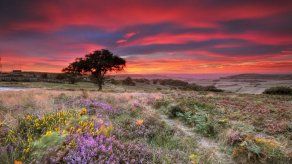 Red mundial de reservas de la biósfera de Unesco añade 18 sitios