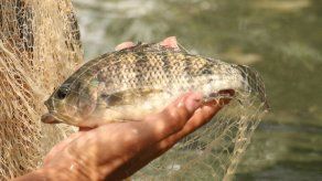 Buque mexicano de investigación evaluará recursos pesqueros de Centroamérica