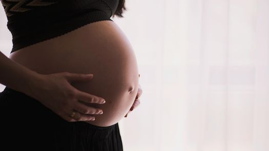 CSS explica por qué la toxoplasmosis es un riesgo para embarazadas