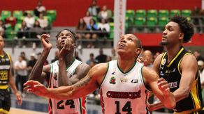 Los Toros de Chiriquí se enfrentarán a Boca Juniors, de Argentina, y a Flamengo, de Brasil, en la Basketball Champions League Americas 2024 - 2025.