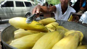 Chicago: trigo y maíz siguen al alza