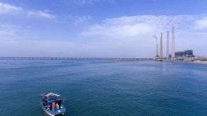 Aguas junto a planta eléctrica atraen tiburones y turistas