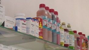 La ruta de las medicinas