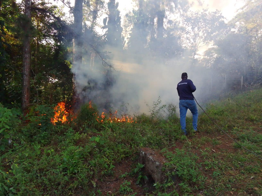 Guardaparques de MiAmbiente controlan incendio en la Reserva Forestal El Montoso.