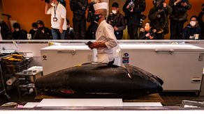 La primera subasta del año en el mercado Toyosu es una tradición que suele atraer a numerosos mayoristas cada año.